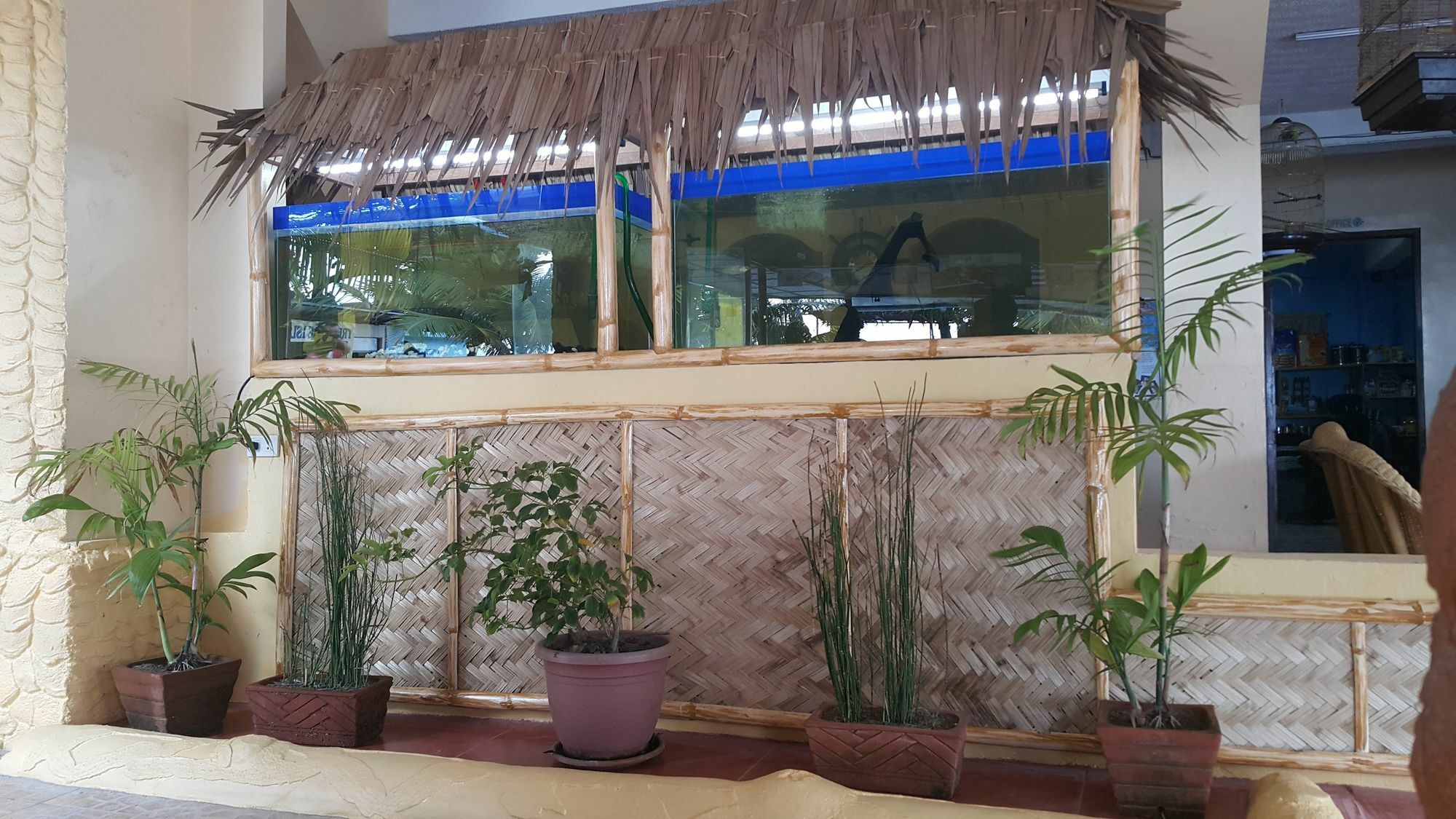 Treasure Island Resort Olongapo Eksteriør bilde